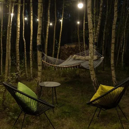 Villa Miedzy Brzozami / W Lesie *