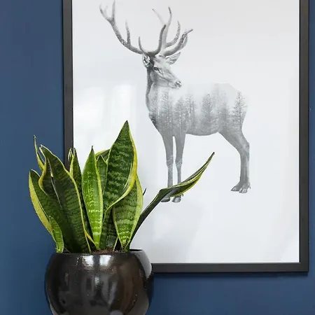 Miedzy Brzozami / W Lesie