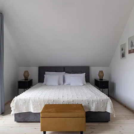 Villa Miedzy Brzozami / W Lesie Ciekocino