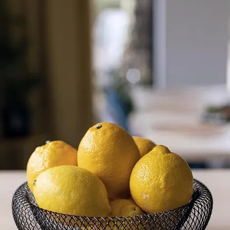 Miedzy Brzozami / W Lesie Villa