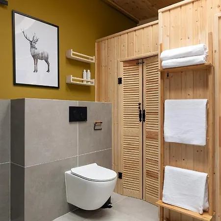 Villa Miedzy Brzozami / W Lesie *