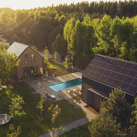 Miedzy Brzozami / W Lesie Ciekocino