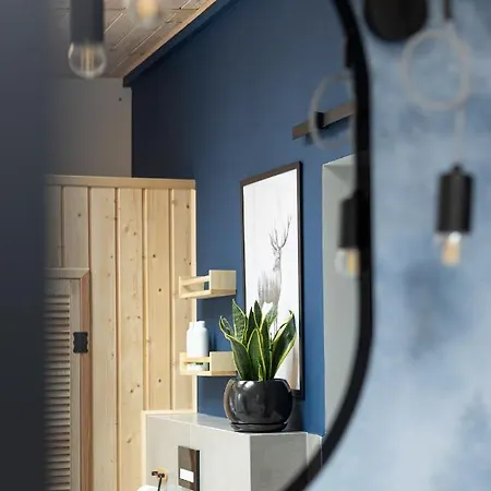 Miedzy Brzozami / W Lesie Villa Ciekocino