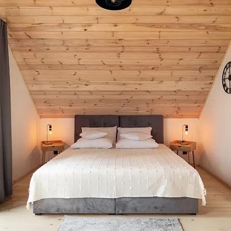 Villa Miedzy Brzozami / W Lesie *