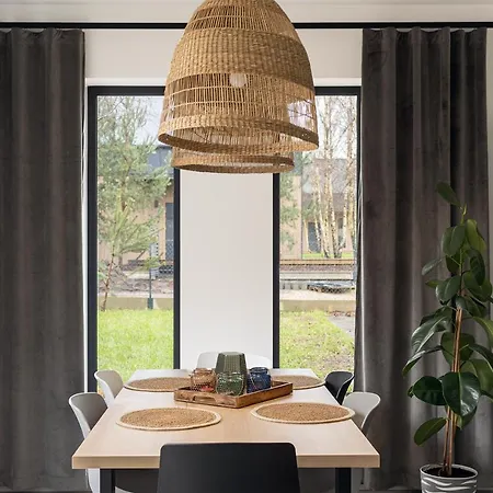 Miedzy Brzozami / W Lesie * Ciekocino