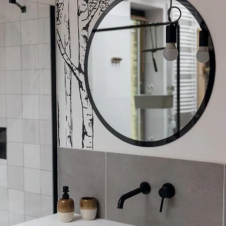 Miedzy Brzozami / W Lesie * Ciekocino