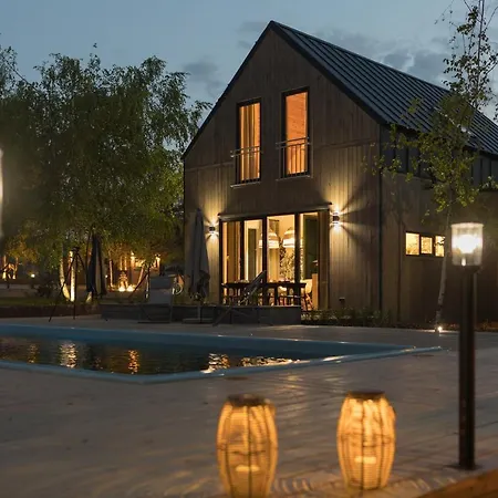 Miedzy Brzozami / W Lesie * Ciekocino