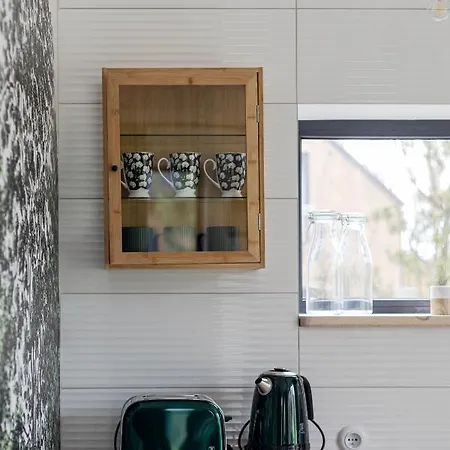 Villa Miedzy Brzozami / W Lesie *