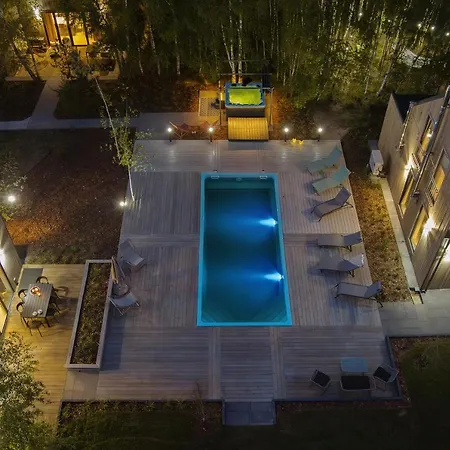 Miedzy Brzozami / W Lesie