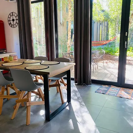 Miedzy Brzozami / W Lesie * Ciekocino