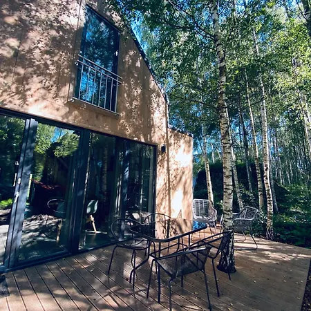 Miedzy Brzozami / W Lesie