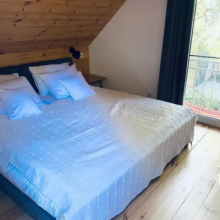 Villa Miedzy Brzozami / W Lesie