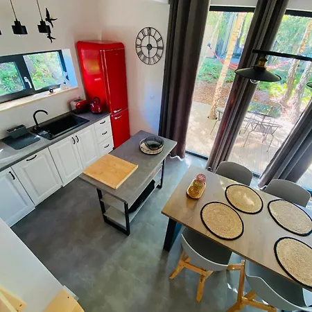 Villa Miedzy Brzozami / W Lesie *