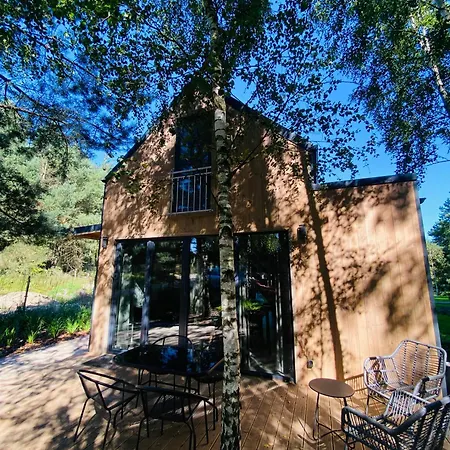 Miedzy Brzozami / W Lesie *