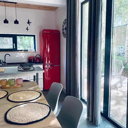 Miedzy Brzozami / W Lesie