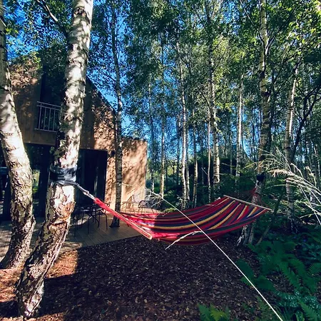 Miedzy Brzozami / W Lesie