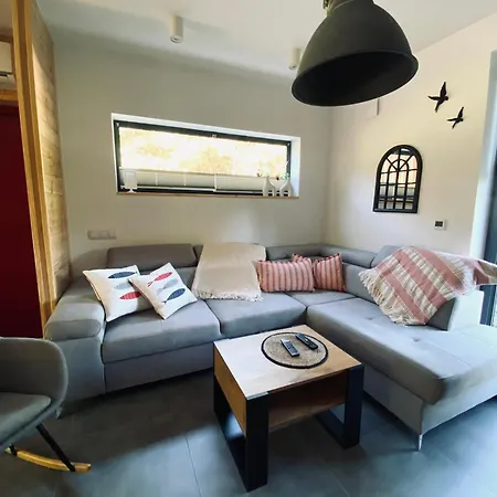 Villa Miedzy Brzozami / W Lesie *