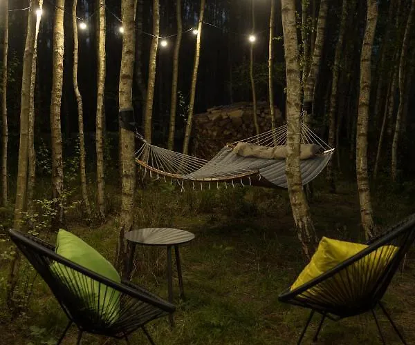 Villa Miedzy Brzozami / W Lesie *