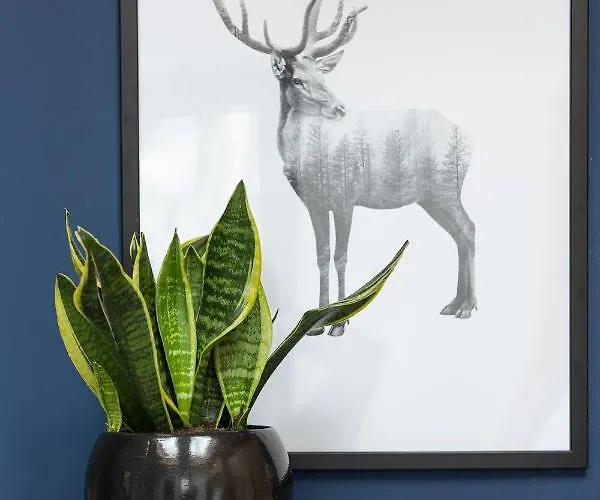 Miedzy Brzozami / W Lesie