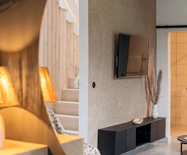 Miedzy Brzozami / W Lesie * Ciekocino