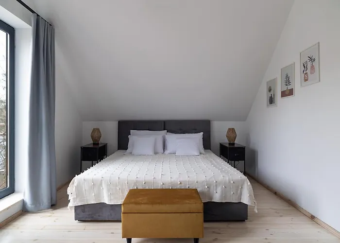 Villa Miedzy Brzozami / W Lesie Ciekocino