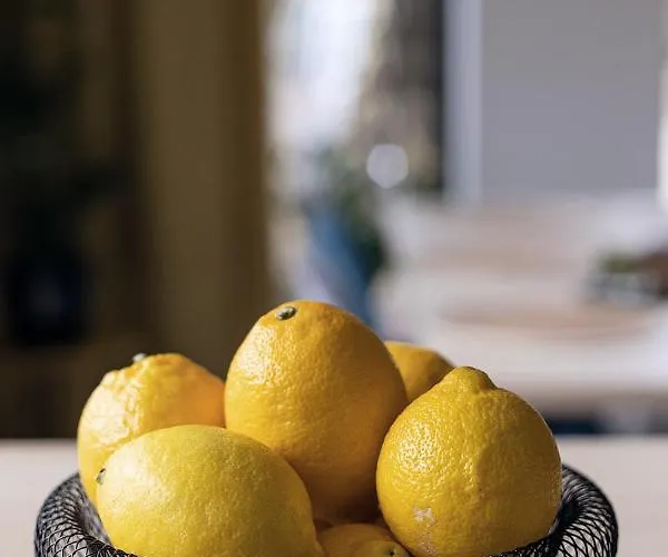 Miedzy Brzozami / W Lesie Villa