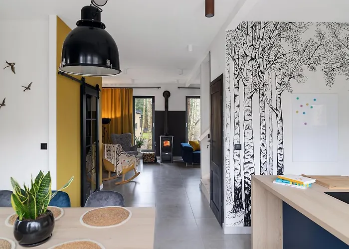 Miedzy Brzozami / W Lesie Ciekocino