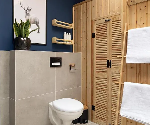 Villa Miedzy Brzozami / W Lesie *