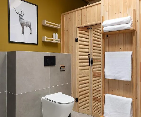 Villa Miedzy Brzozami / W Lesie *