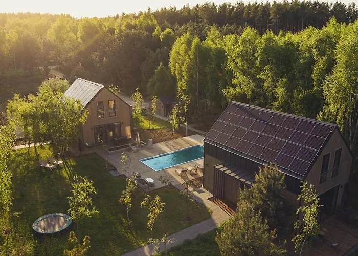 Miedzy Brzozami / W Lesie Ciekocino