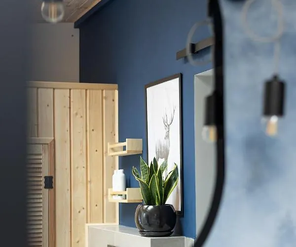 Miedzy Brzozami / W Lesie Villa Ciekocino