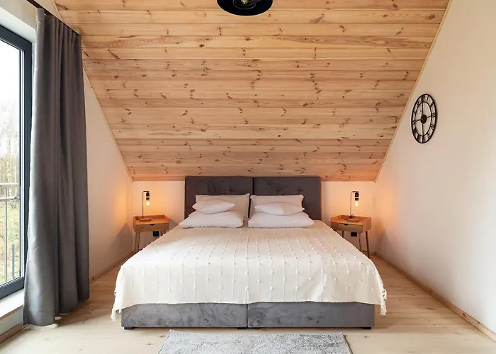 Villa Miedzy Brzozami / W Lesie *