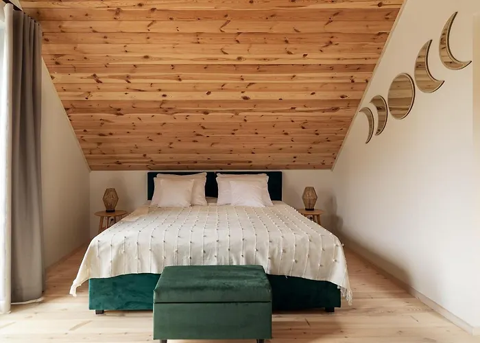 Miedzy Brzozami / W Lesie