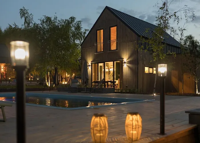 Miedzy Brzozami / W Lesie * Ciekocino