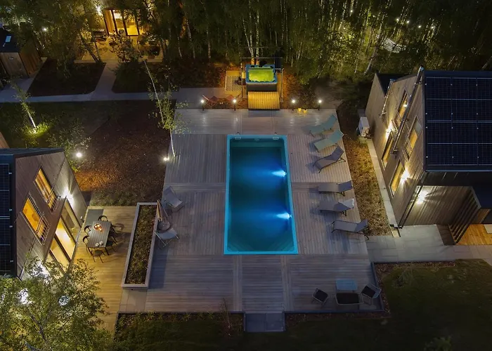 Miedzy Brzozami / W Lesie