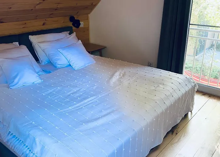 Villa Miedzy Brzozami / W Lesie