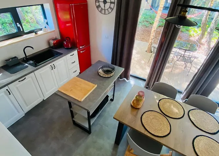 Villa Miedzy Brzozami / W Lesie *