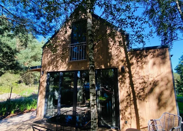 Miedzy Brzozami / W Lesie *