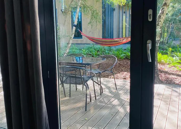 Miedzy Brzozami / W Lesie Ciekocino