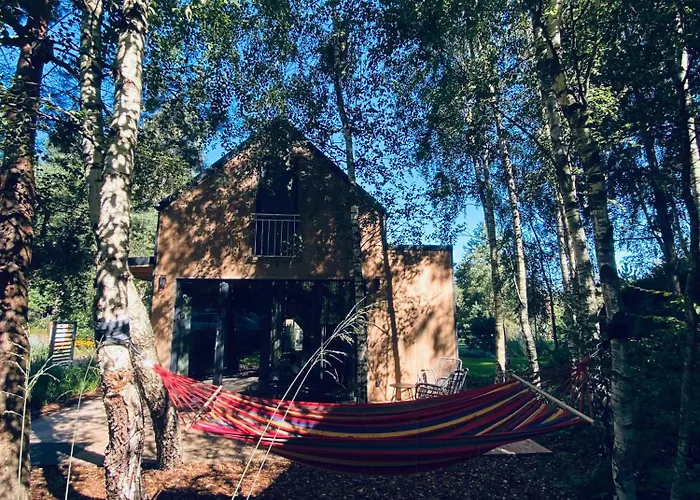 Miedzy Brzozami / W Lesie Villa