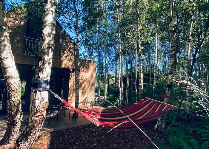 Miedzy Brzozami / W Lesie