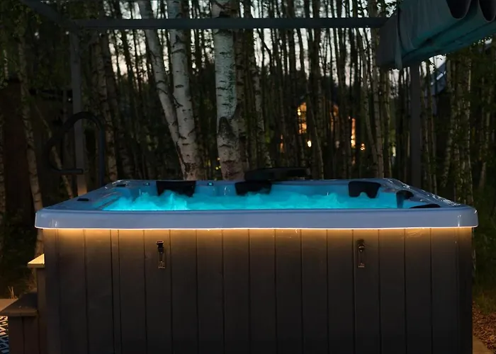 Miedzy Brzozami / W Lesie * Ciekocino